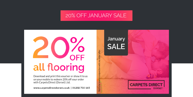 Example Pop Up CTA For Conversion Optimisation