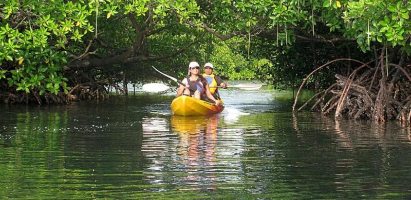 Mangrove Kayaking in Havelock