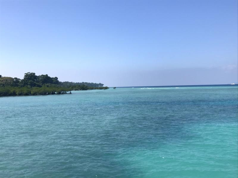 Bharatpur Beach Sea at Neil Island