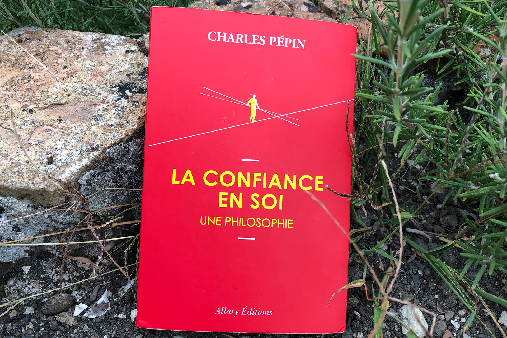 Institut Aurovida - Blog - Boomerang - Charles Pépin