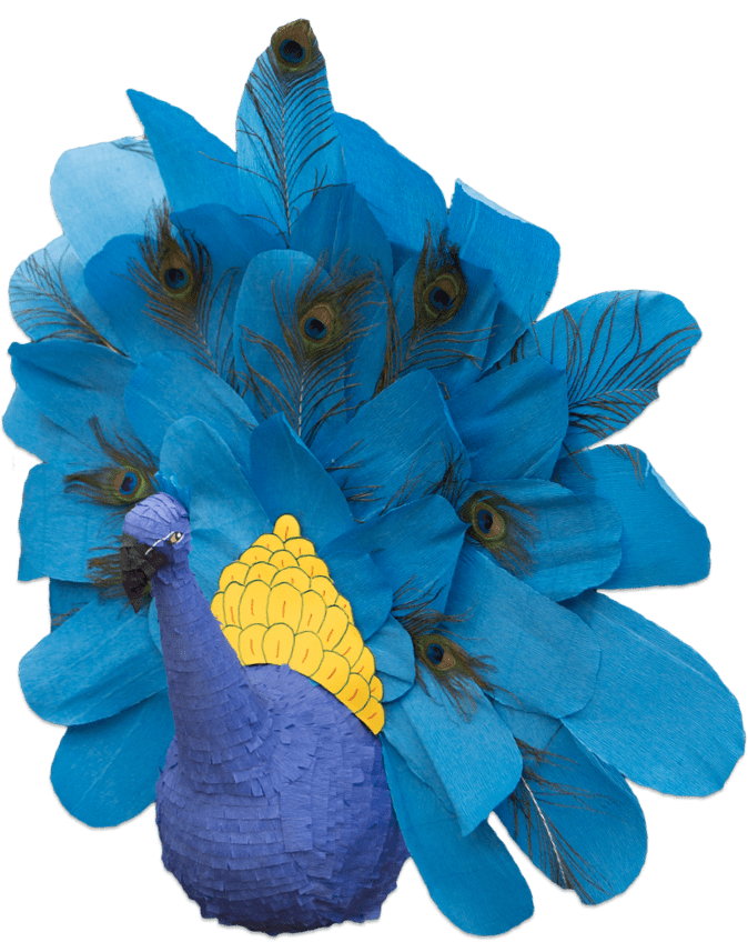 custom peacock pinata break free pinatas