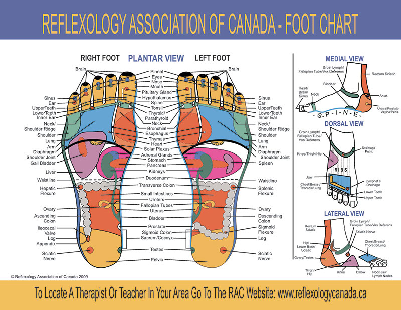 Shanti Wellness Centre