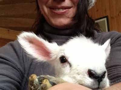 Tamsin, the hotel's massage and acupuncture therapist, is rather busy with the lambs just now!