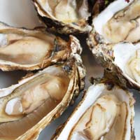 Oysters - how do you eat yours?