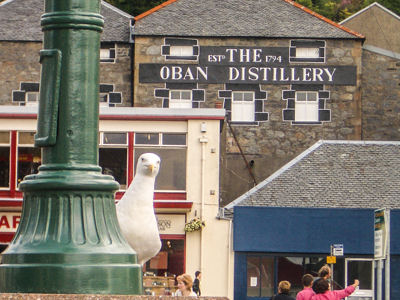Touring West Highland Distilleries