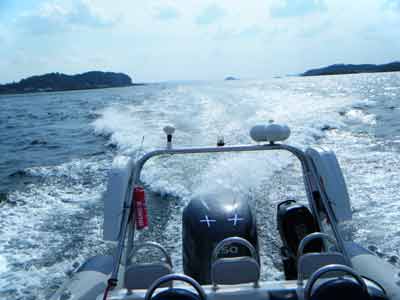 Appin Boat Tours offers a magical trip leaving from the pier in front of the hotel