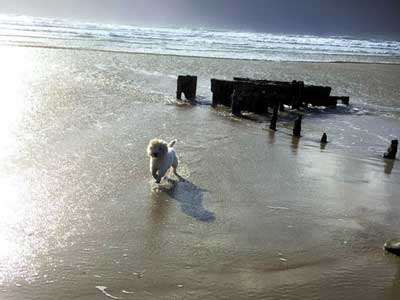 Whisky Galore - part 3