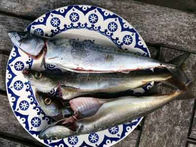 The perfect advert for Emma Bridgewater plates - supper at home caught off the end of our pier
