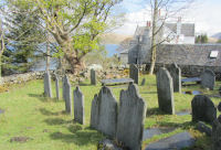 Local genealogy