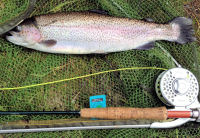 Fly fishing at Inverawe