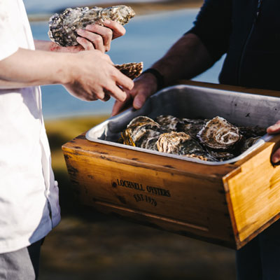Head Chef Michael Leathley visits Lochnell Oysters