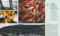 Langoustine fisherman Hughie features in Ernest Journal