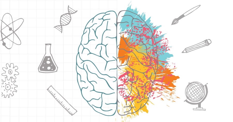 An illustration of the left and right side of the brain