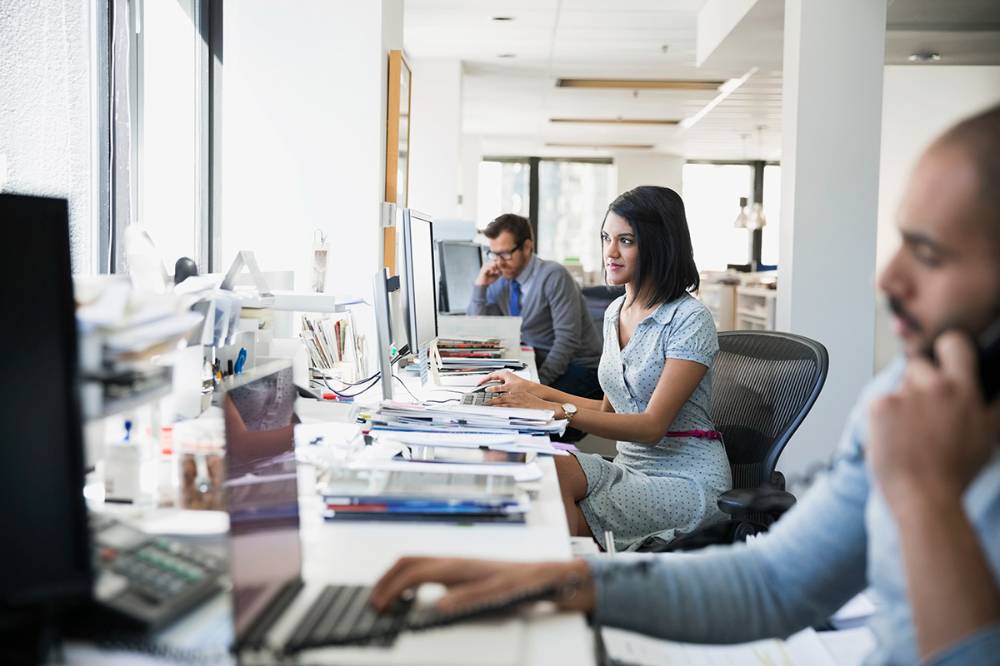 Employees busy working in an office on their desktops