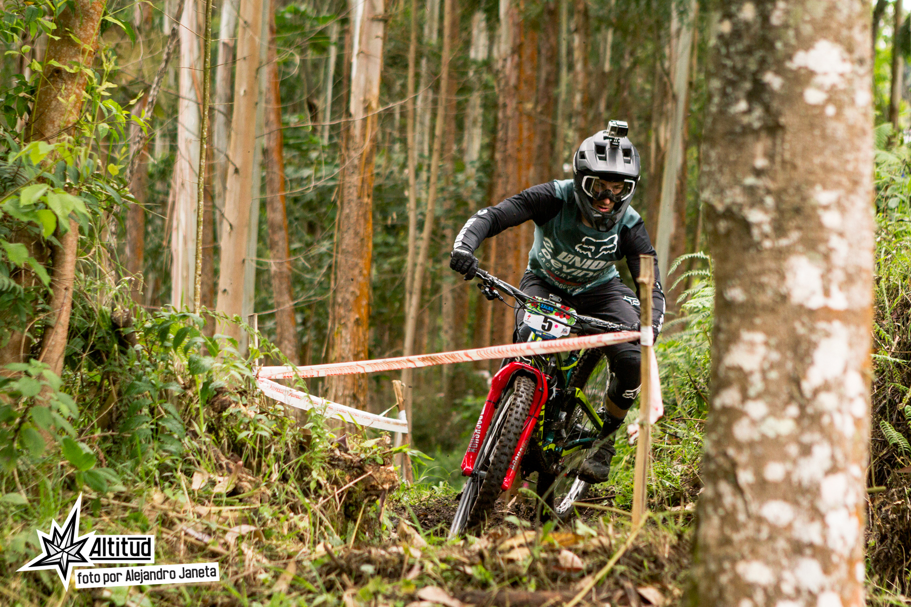 bicycle shops close to me