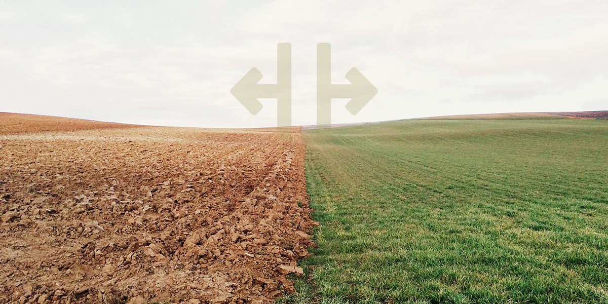 Image of two fields