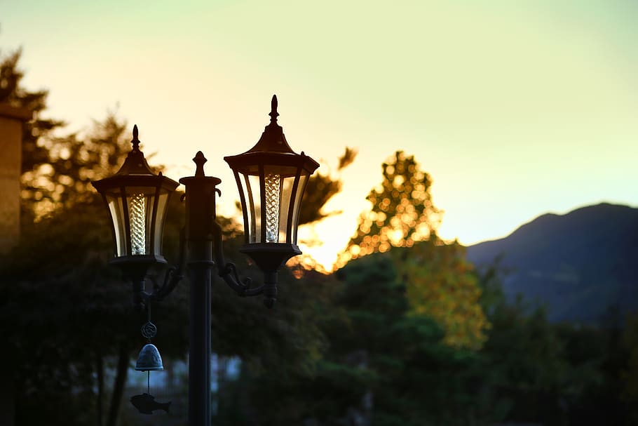 Narnia-type lamp in garden