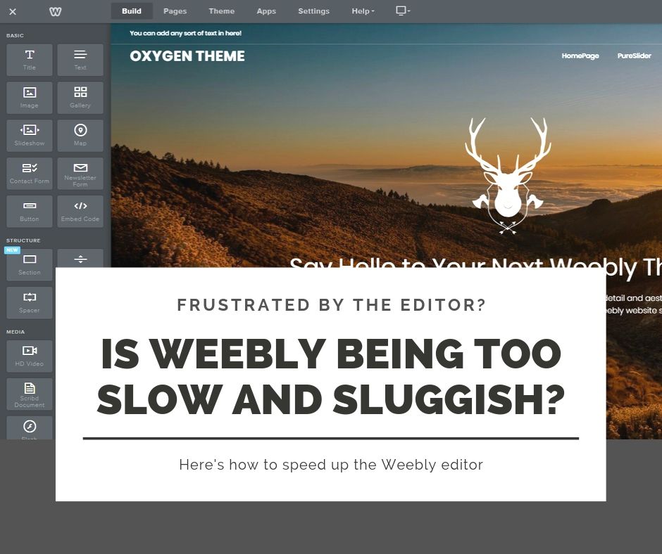 Which Image Sizes Should I Use In Weebly