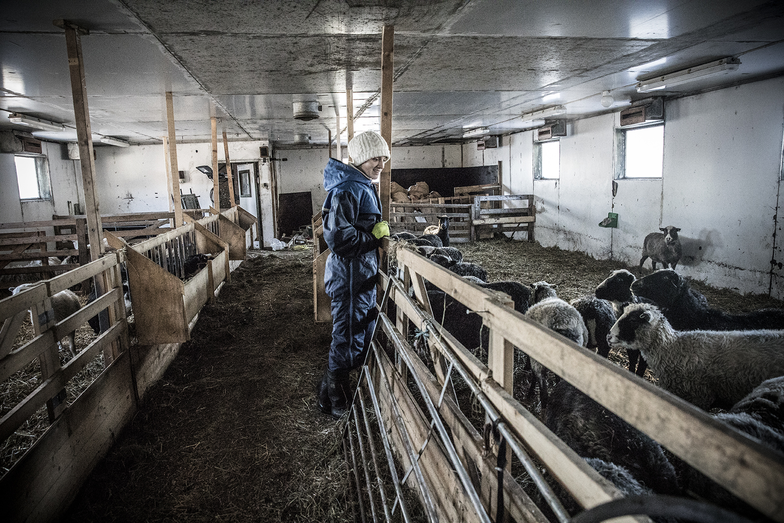 A woman, Erika Winterlie, is dressed in warm clothing for the outdoors. She stands in a building for housing sheep which is covered in straw. She leans over a wooden barrier, looking at her sheep with a contented smile on her face