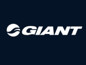 firmstrong bike dealers