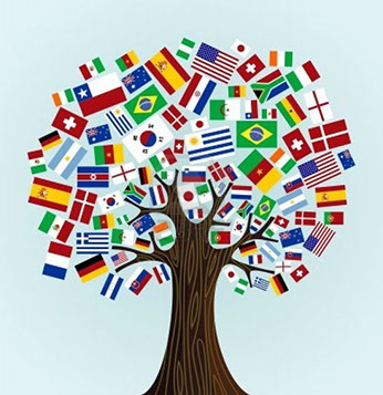 Supporting our Non-English Speaking Clients