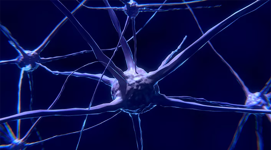 What's the Difference between Dementia and Alzheimer's?
