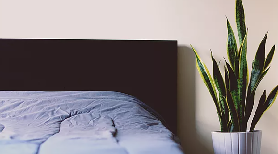 Healthy Sleep Habits for Seniors