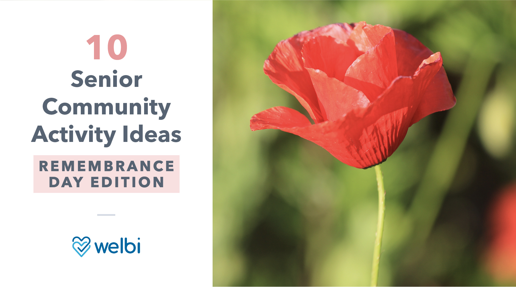 10 Senior Community Activity Ideas: Remembrance Day Edition