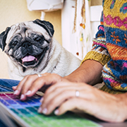 Should Employers Allow Emotional Support Animals In The Workplace