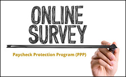 Online Survey