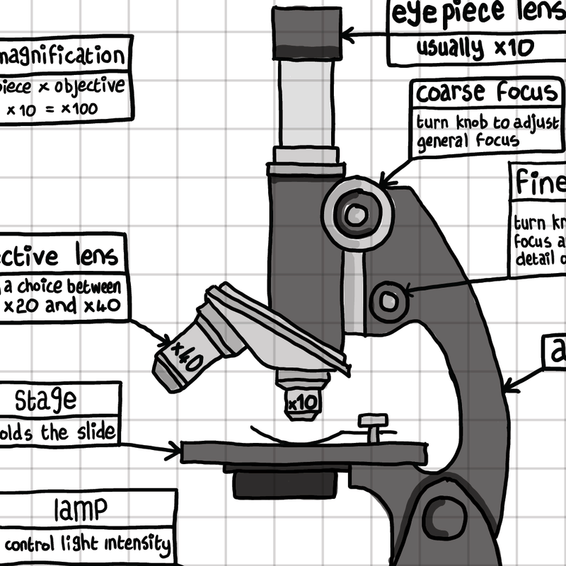 GCSE Science resources
