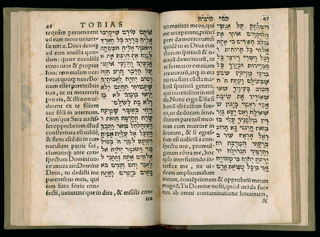 Sefer Tuviah, the Book of Tobit: An Ancient Jewish Novel for Shavuot