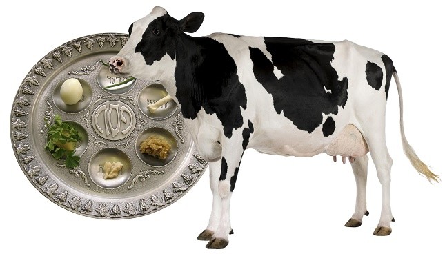 Korban Chagigah from the Torah to the Seder Plate