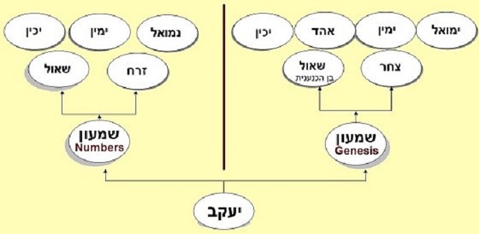 What Do Genealogies Teach Us About Torah?