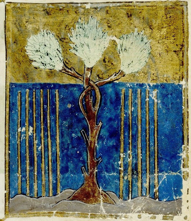 Aaron’s Flowering Staff: A Priestly Asherah?