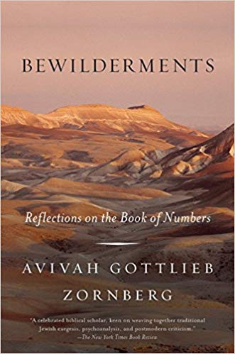 Bewilderments: Reflections on the Book of Numbers