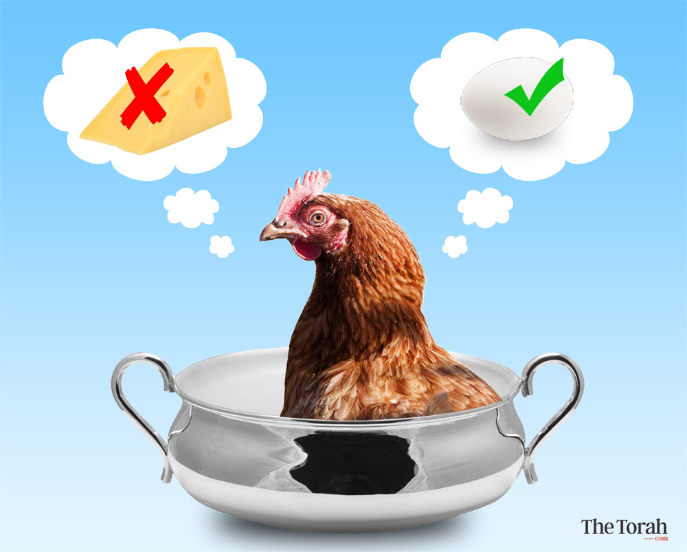 Why Chicken and Cheese Became Prohibited