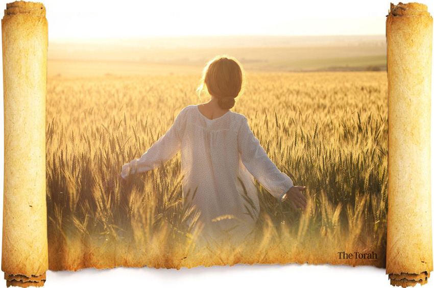 Megillat Ruth: When Kindness Conflicts with Torah