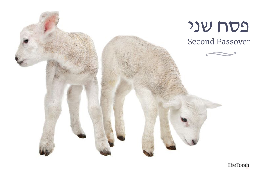 The Paradox of Pesach Sheni