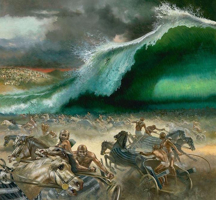 A Personified Reed Sea