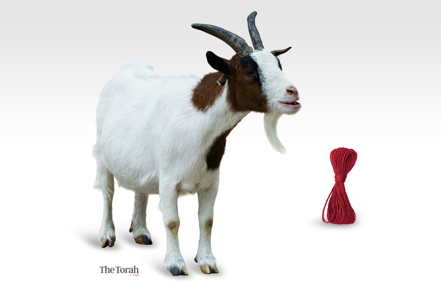 Scapegoat: The Origins of the Crimson Thread