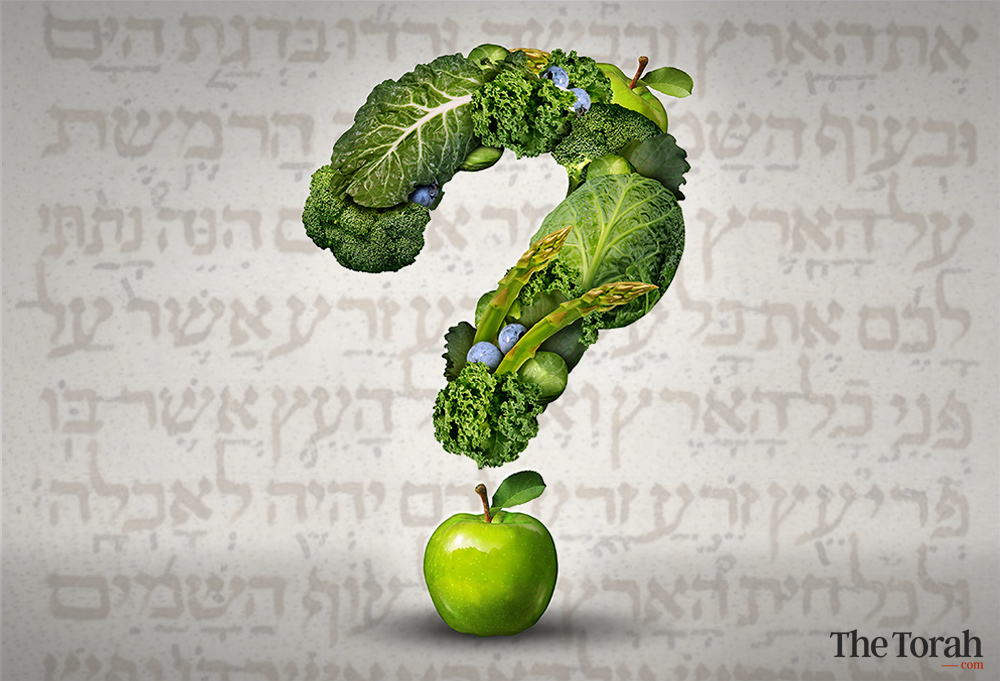 Did God Originally Intend the World to Be Vegetarian?