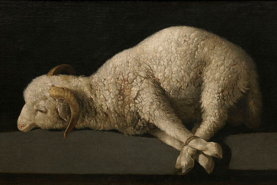 Searching for the Meaning of the Passover Sacrifice