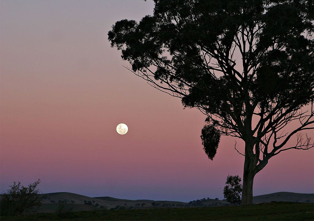 Shabbat of the Full Moon