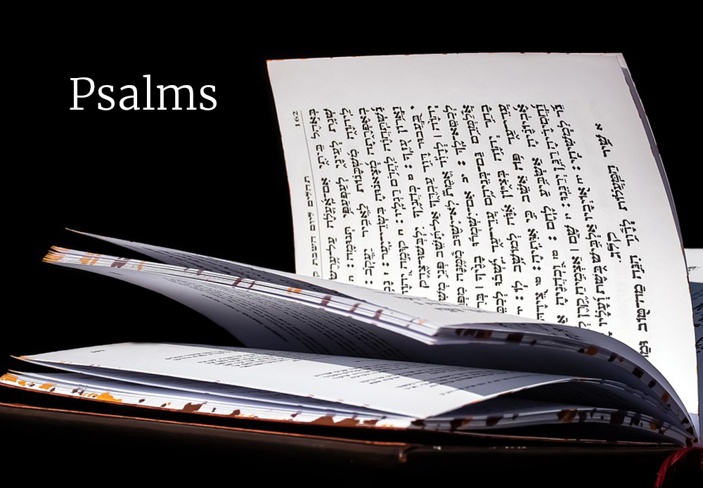 Seeking Torah, Seeking God: Psalm 119