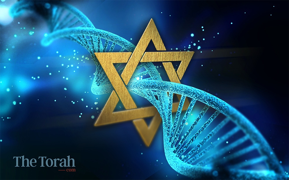 DNA and the Origin of the Jews
