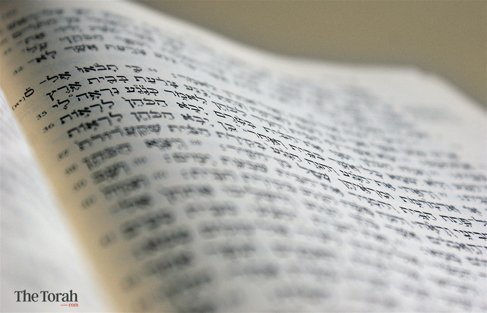 Priests & Rabbis Determine Ritual Reality