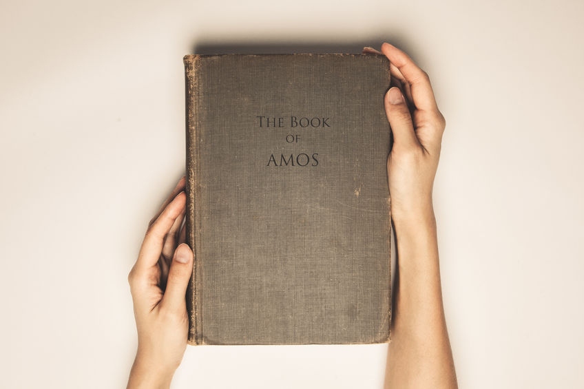The Book of Amos: A Retrospect on the Fall of Israel