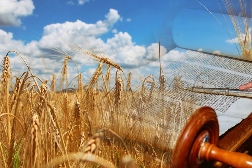 Shavuot: The Festival of Covenants