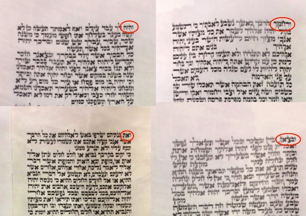 Scribing the Tabernacle: A Visual Midrash Embedded in the Torah Scroll